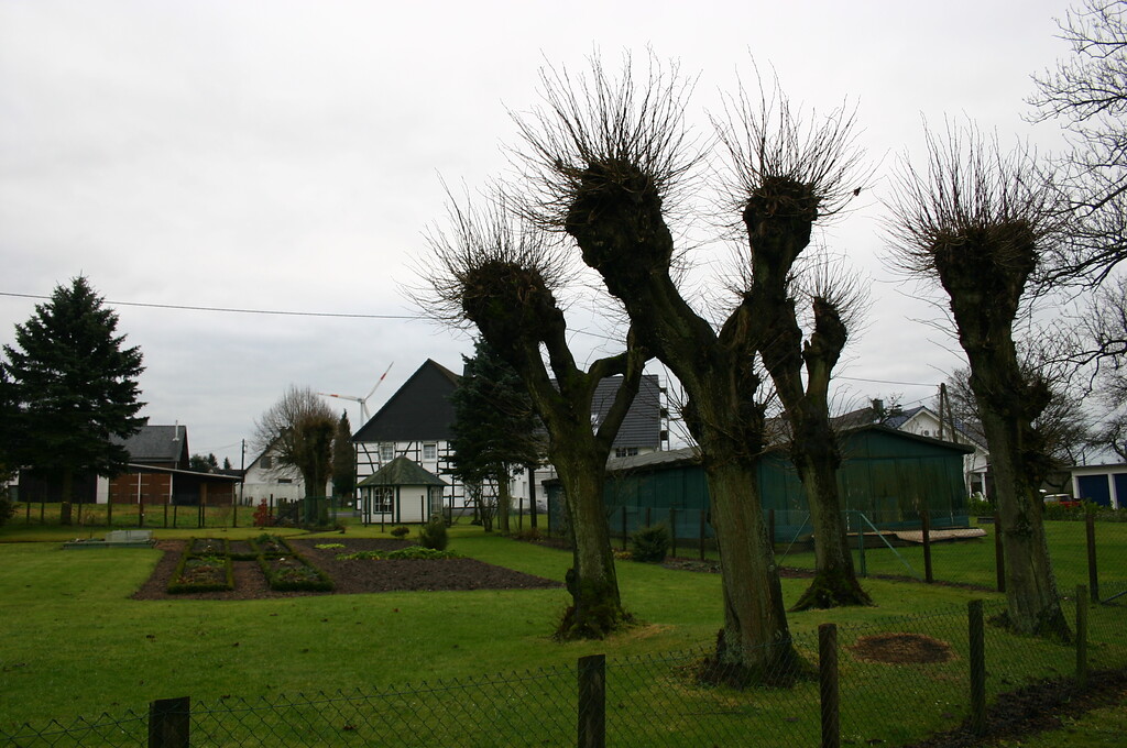 Geschneitelte Linden und Gartenland in Filde (2008)
