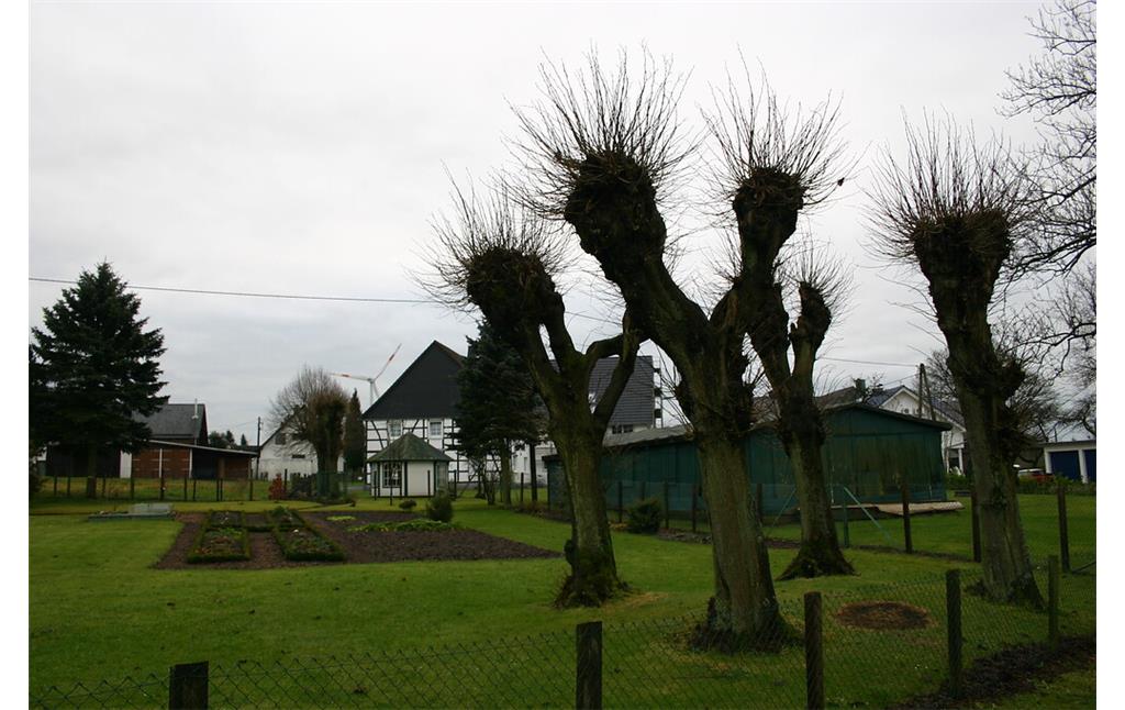 Geschneitelte Linden und Gartenland in Filde (2008)