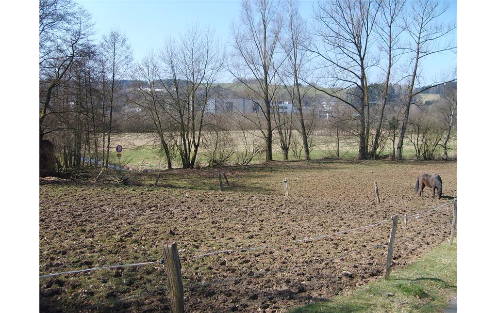 Standort des ehemaligen Teiches der Pulvermühlen in Wäsche (2009)