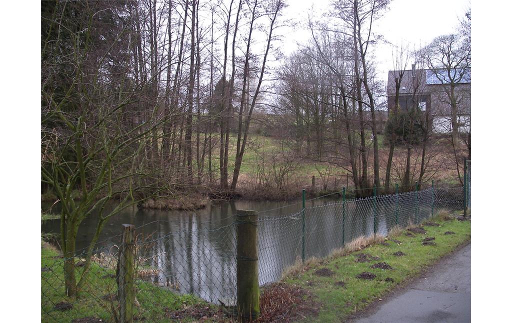 Historischer Teich in Fuhr (2008)
