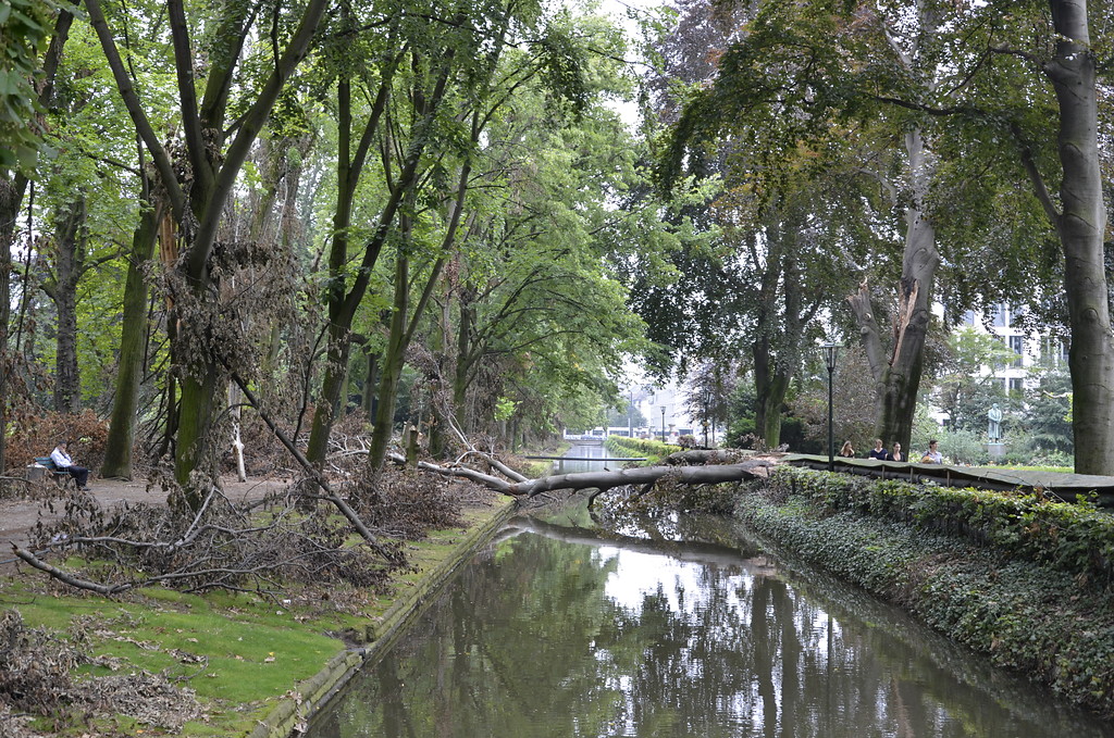 Weitere Sturmschäden, die im Düsseldorfer Hofgarten durch das Unwetter vom 9. Juni 2014 verursacht wurden (Aufnahme Juli 2014). Auch einen Monat später ist der Hofgarten nur teilweise betretbar und die Aufräumarbeiten werden noch eine lange Zeit in Anspruch nehmen.
