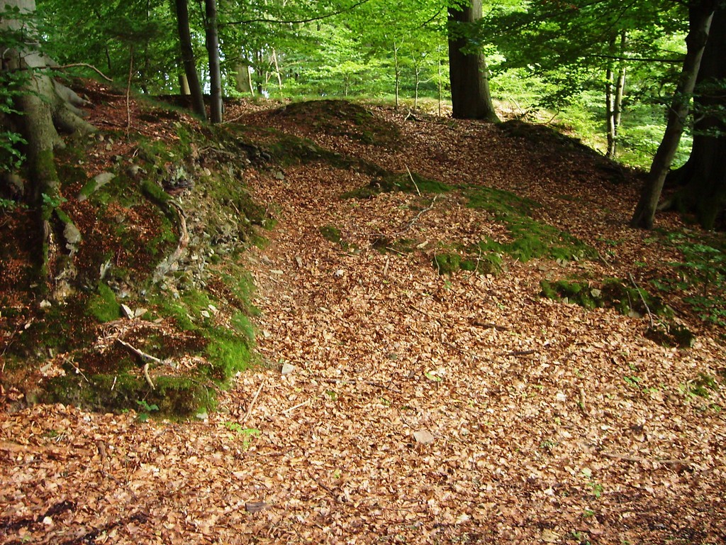 Hohlformen und Abraumhalden des Steinbruches in Gimborn (2009)