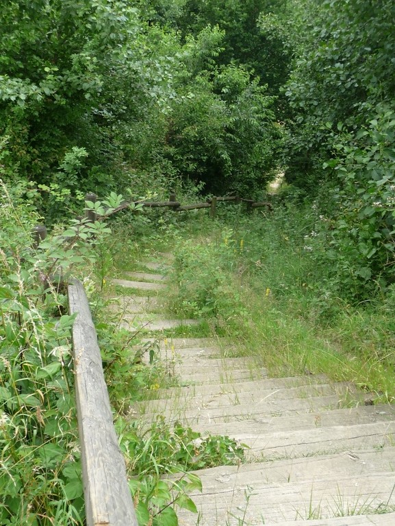 Abbildung 3: Holzbohlentreppe führt zu einer Aufschüttungsfläche (2019)