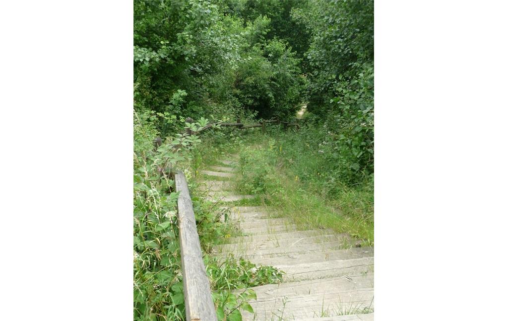 Abbildung 3: Holzbohlentreppe führt zu einer Aufschüttungsfläche (2019)