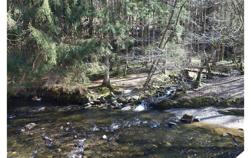 Mündung Kluckbach in die Rur (2022)
