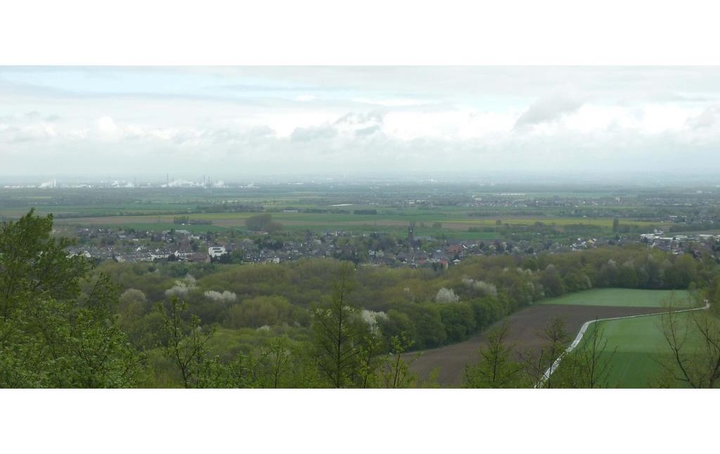 Abbildung 5: Blick über den Wald des Naturschutzgebietes Quellgebiet Glessener Bach (2019)