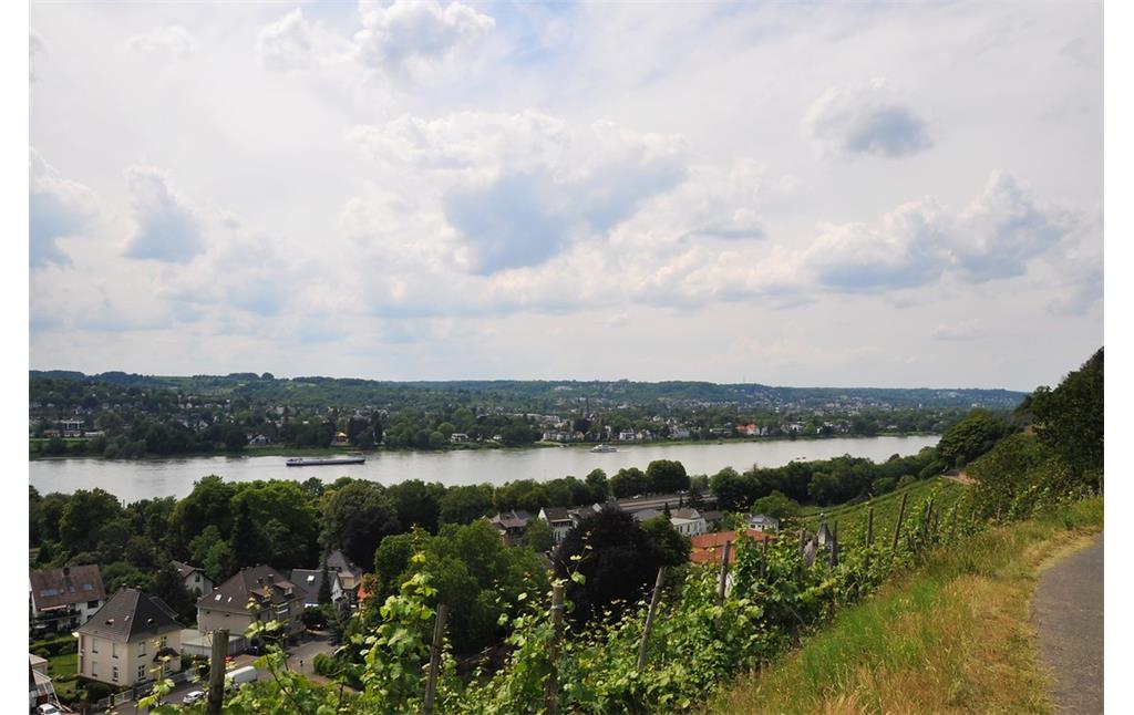 Blick auf den Rhein gen Nordwesten (2019).