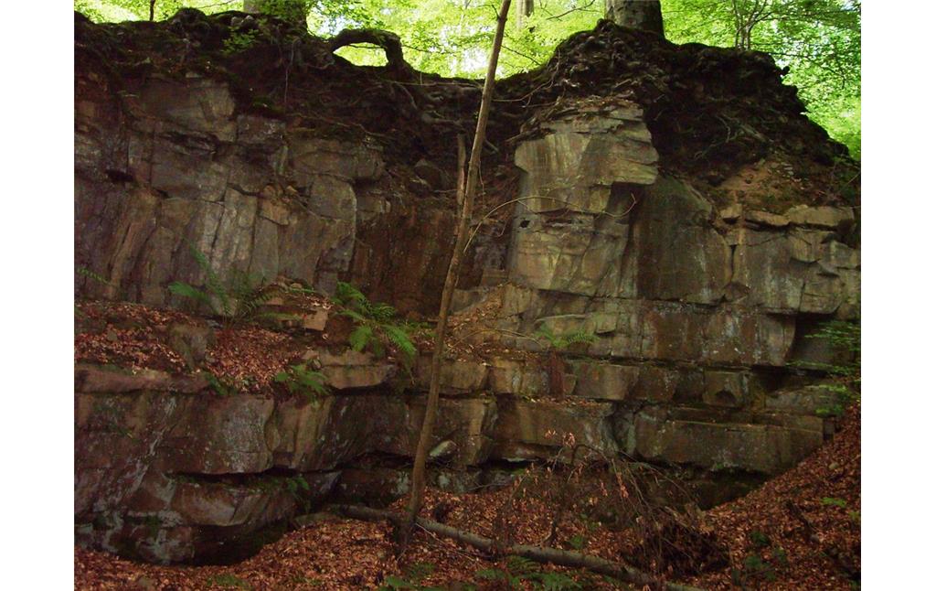 Abbaukante des Steinbruches in Gimborn (2009)