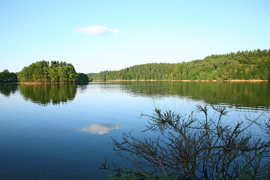 Blick auf die von Wald umgebene Wasserfläche der Bevertalsperre (2008)