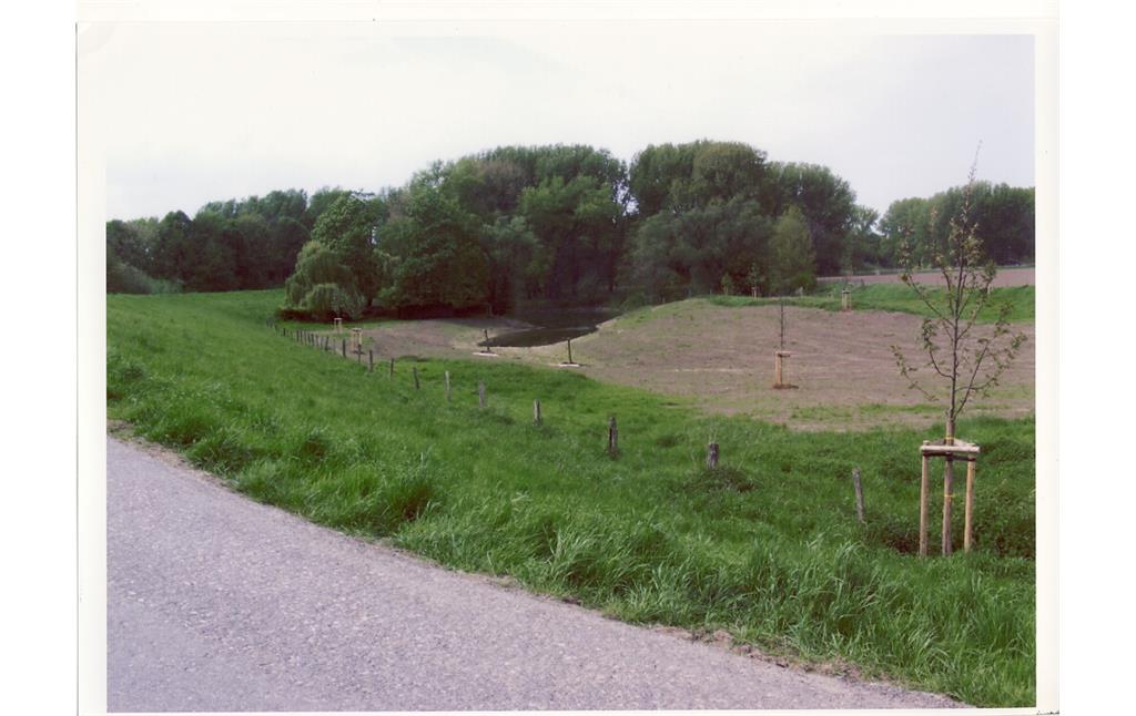 Fronweiher (nach 1989)