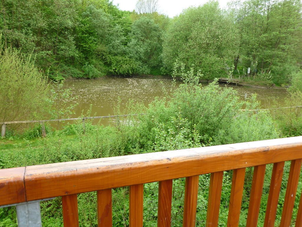 Blick auf den Teich am Müllershammer (2012)