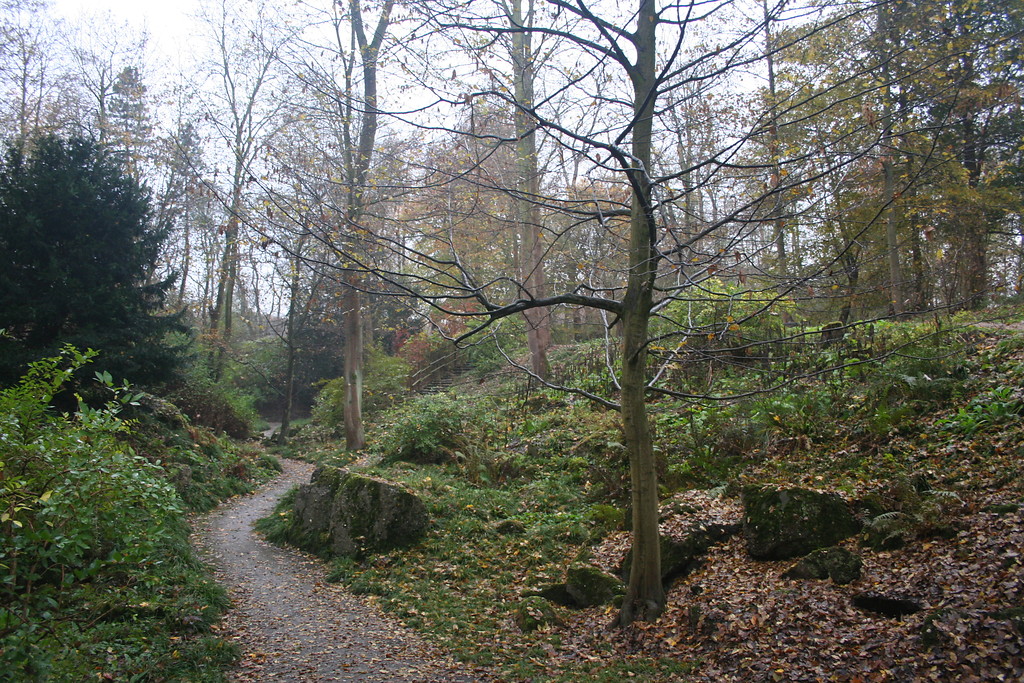 Felsengarten an Fort VI (2014)