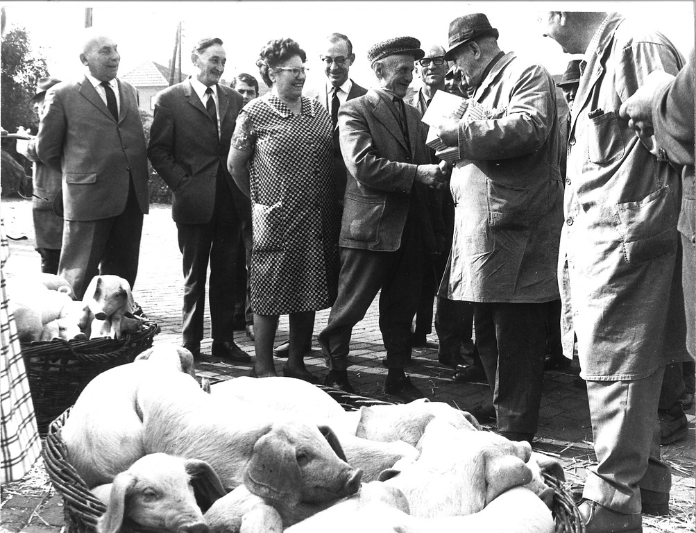 Schweinemarkt in Sonsbeck (1950er)