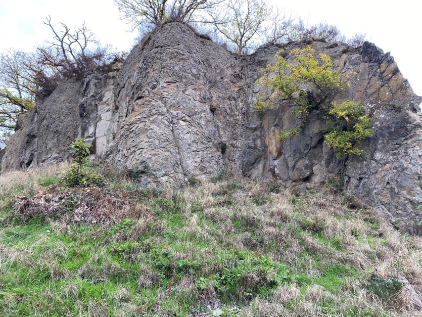 Besiedelte Steilwände im Steinbruch am Stenzelberg (2022)