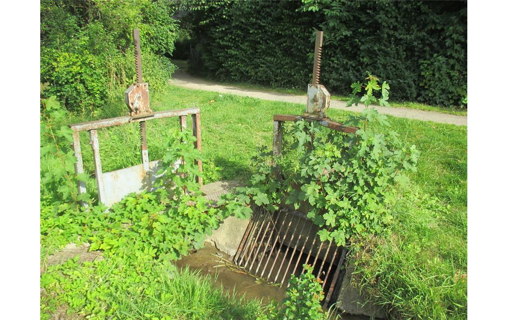 Graben mit Wehr neben der Wasserburg Birgel (2015)