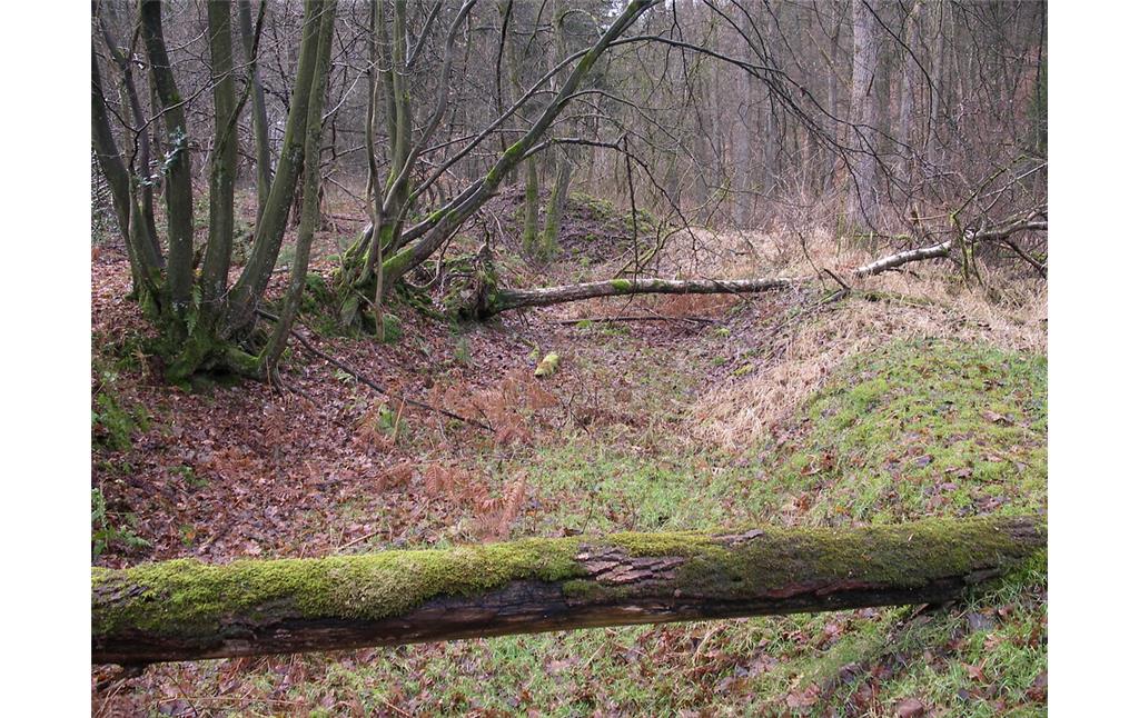 Im Wald sind Reste des Mühlengrabens der Leimholermühle erhalten (2008)