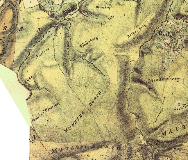 Der Münsterwald in der Kartenaufnahme der Rheinland durch Tranchot und von Müffling 1801 - 1828