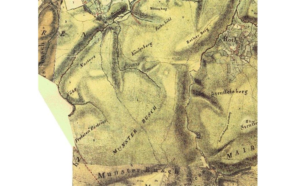 Der Münsterwald in der Kartenaufnahme der Rheinland durch Tranchot und von Müffling 1801 - 1828