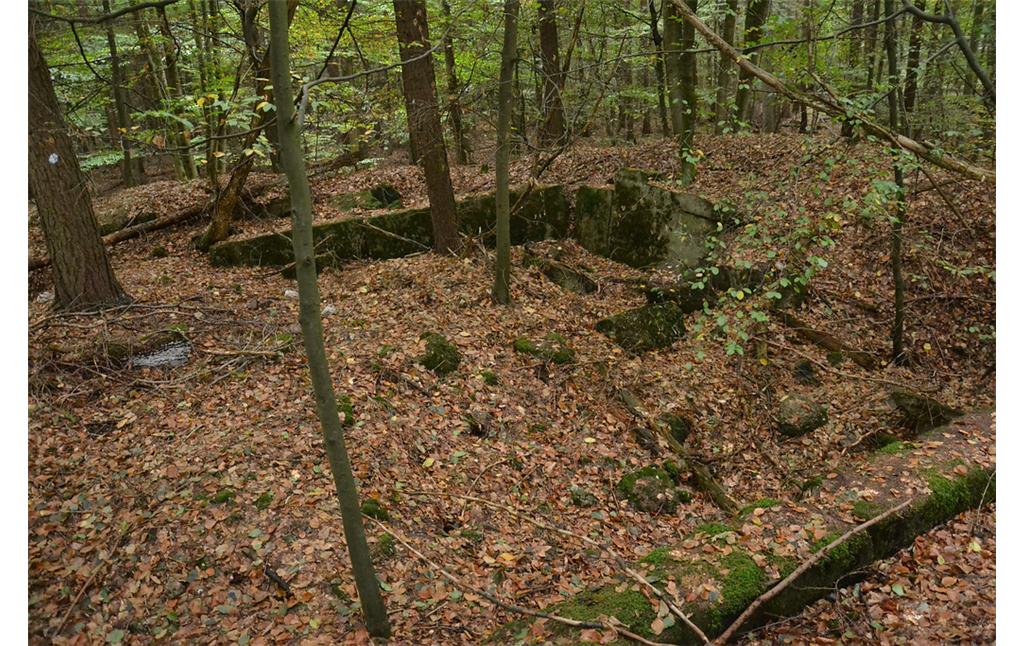 Munitionsbunker in der Musser Heide/Schwirzpohler Wald