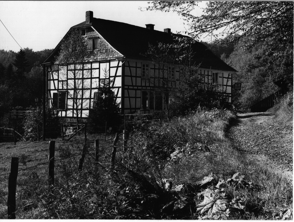 Rausmühle am Eifgenbach (1967)