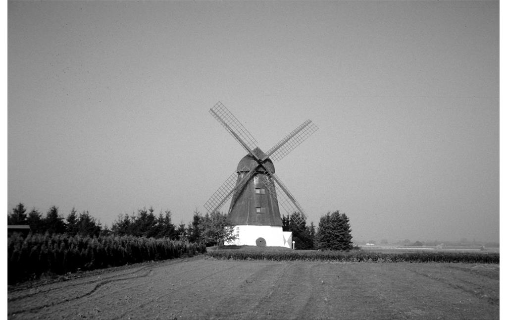 Windmühle am Gieselberg bei Straelen am Niederrhein (2003)