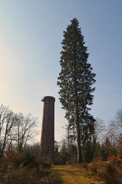 Der Eschkopfturm bei Wilgartswiesen (2018).