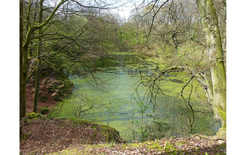 Der Teich im alten Steinbruch im Duisburger Stadtwald (2012).