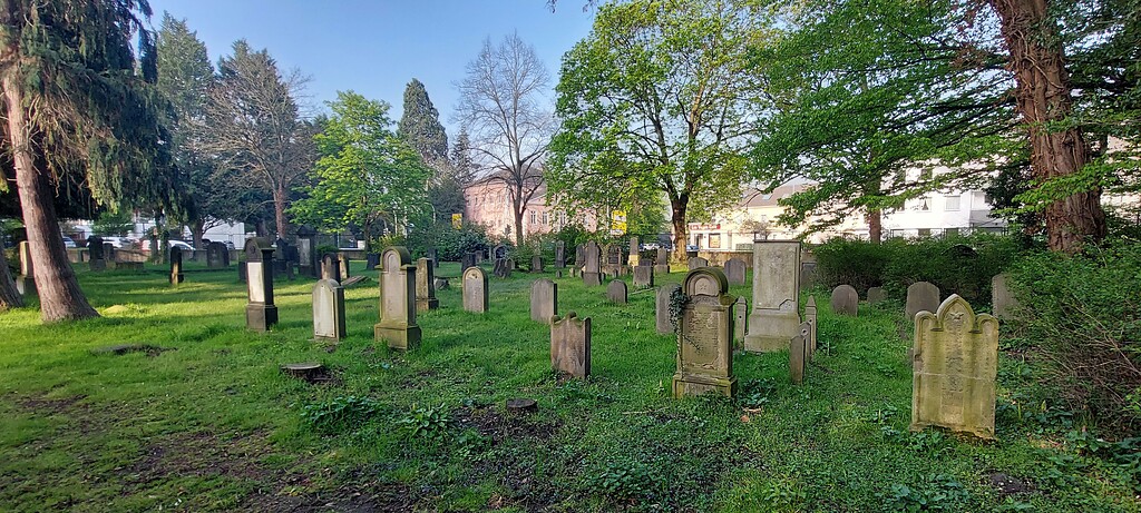 Blick über das Gräberfeld des jüdischen Friedhofs in Brühl (2023).
