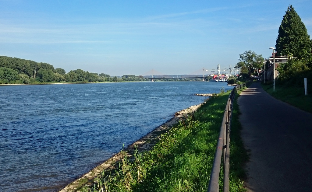 Blick auf den Rhein vom Graurheindorfer Ufer aus Richtung Süden (2016). Im Hintergrund sind der Bonner Hafen und die Friedrich-Ebert-Brücke zu sehen.