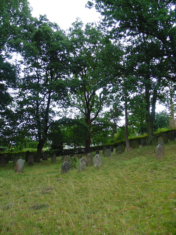 Blick von Westen aus über das Gräberfeld des jüdischen Friedhofs Kommern (2020)