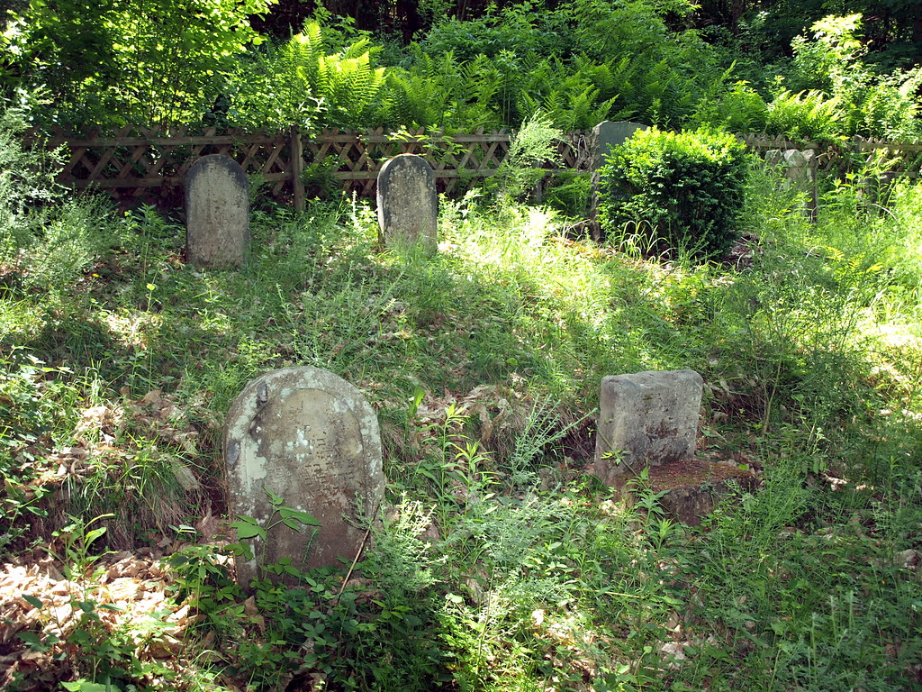 Blick über das Gräberfeld auf dem Jüdischen Friedhof bei Klotten (2011).