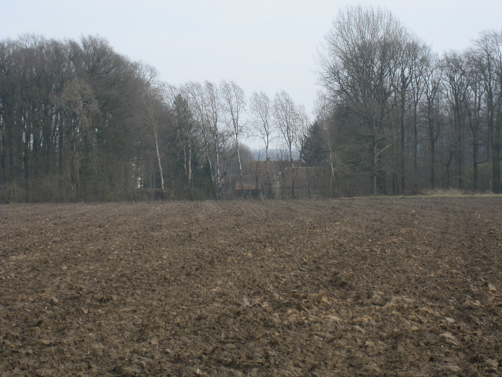 Ackerfläche in Uedem-Uedemerbruch (2011). Im Hintergrund erkennt man ein Gehöft hinter einer Baumreihe sowie flankierende Waldflächen.