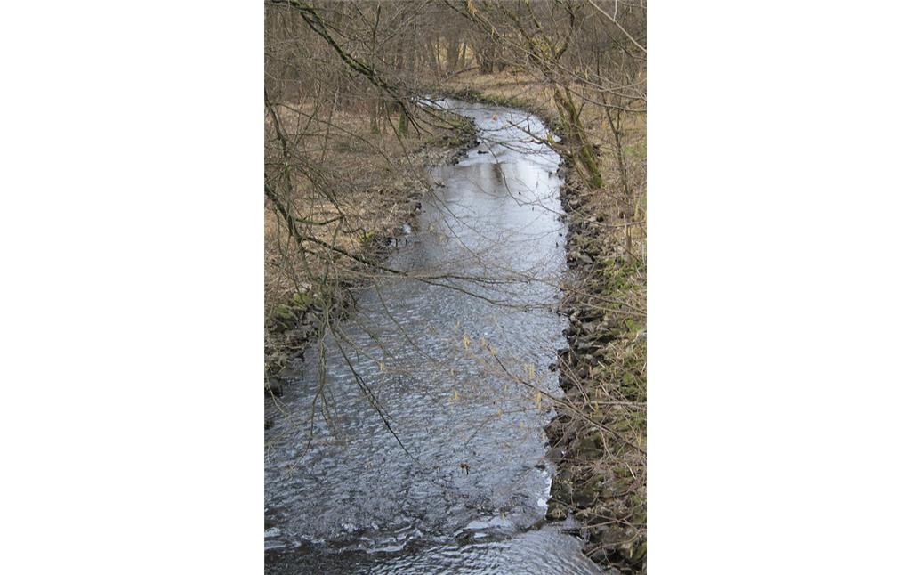 Der Fluss Wiehl, der früher die alte Sägemühle Mühlenau speiste (2012).
