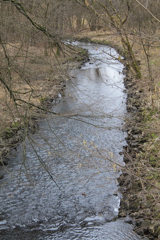 Der Fluss Wiehl, der früher die alte Sägemühle Mühlenau speiste (2012).