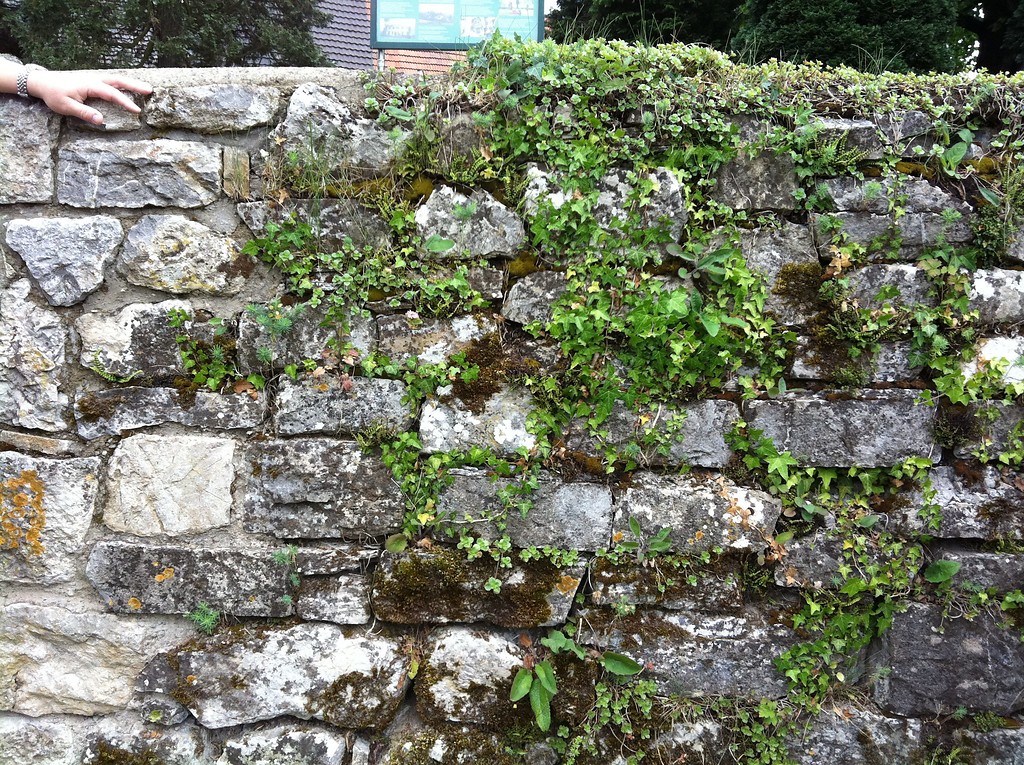Bruchsteinmauer am Kirchhof Sand. Links vermörtelter, rechts offenfugiger Bereich.