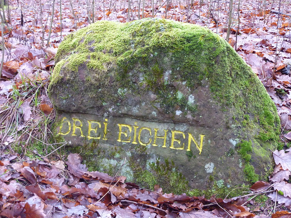Ritterstein Nr. 21 Drei Eichen südwestlich von Böllenborn (2012)