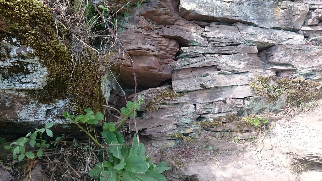 Trockenmauer im Calmont, die an einen Fels angrenzt (2017)