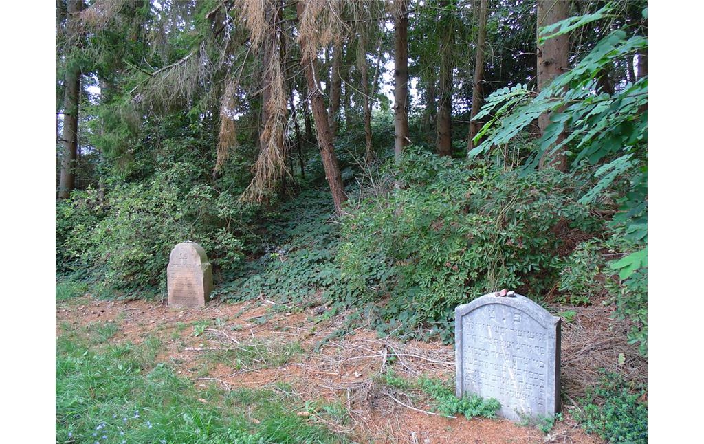 Jüdischer Friedhof Bleibuir, zwei der insgesamt vier erhaltenen Grabstätten vor Ort (2020).