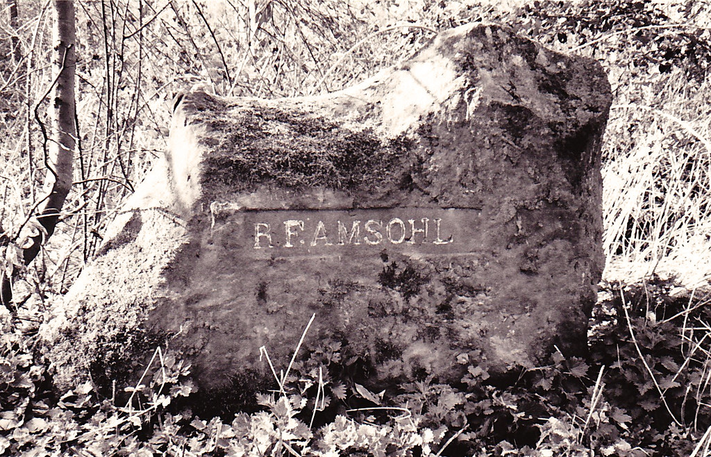 Ritterstein Nr. 114 "R. F. Amsohl" bei Waldleiningen (1993)