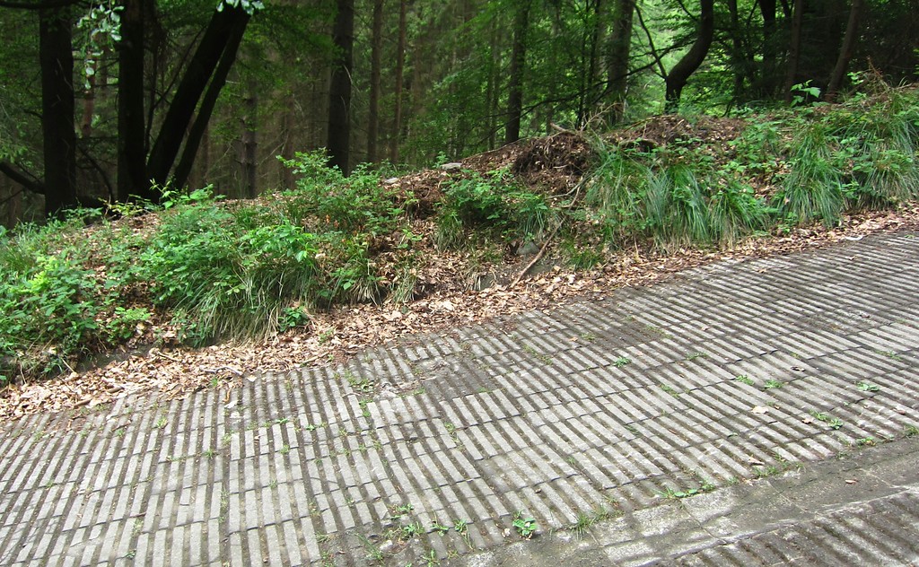 Die besonders steile Prüfungsstrecke "Steilstrecke" an der Nürburgring-Nordschleife (2015). Die gerade wachsenden Bäume im Hintergrund verdeutlichen die Steigung von bis zu 27 Prozent.