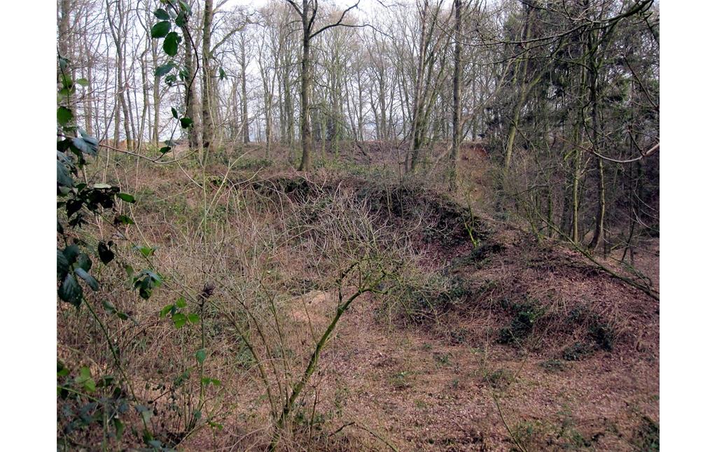 Aufgelassene ehemalige Sand- und Kiesgrube an der Hohen Mühle in Uedem (2011).