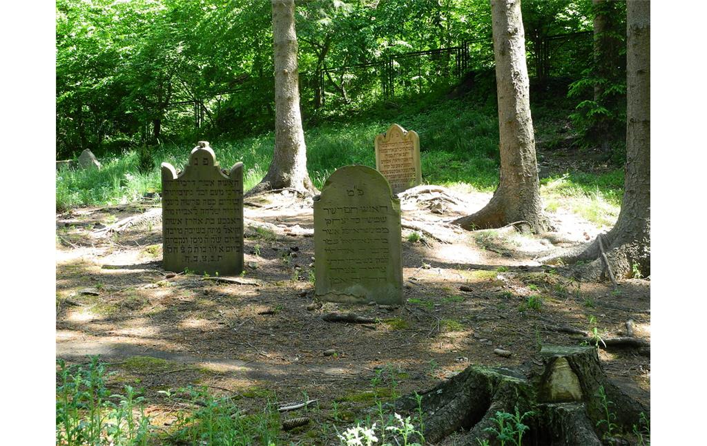 Jüdischer Friedhof im Queckenwald, Bad Münstereifel (2014)