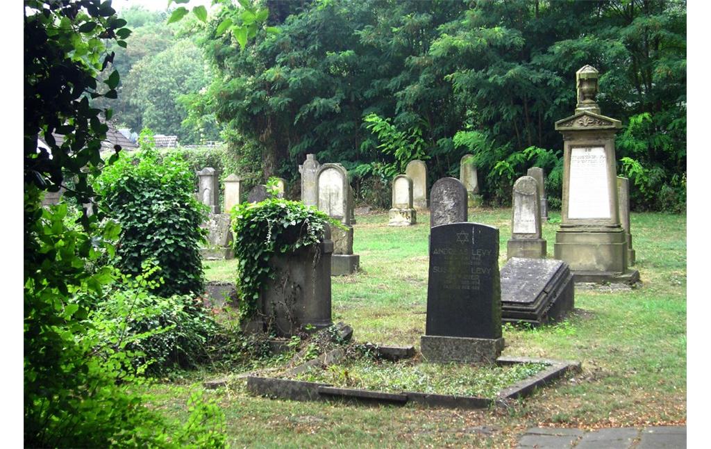 Grabsteine auf dem Jüdischen Friedhof "Herbertskaule" in Frechen (2013).