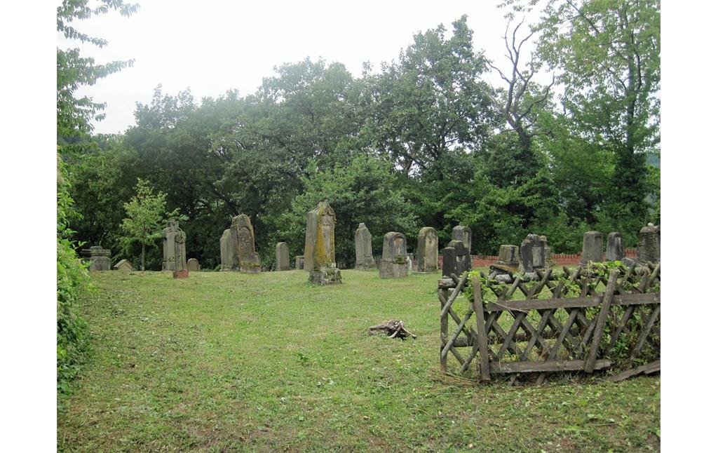 Blick auf das Gräberfeld auf dem jüdischen Friedhof Nispelter Kehr in Bullay (2015)