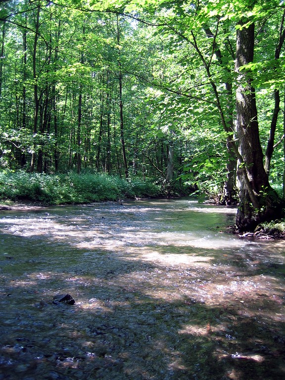 Der Fluss Düssel bei Mettmann (2006)