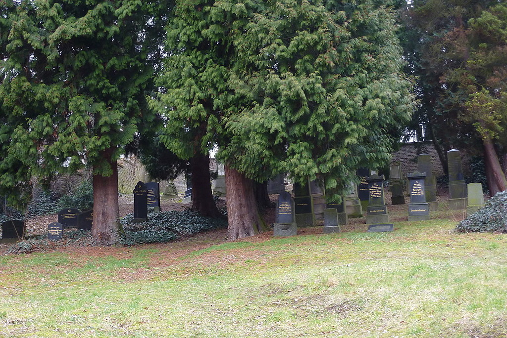 Reihe von Grabstellen auf dem Jüdischen Friedhof in Bonn-Mehlem (2011)