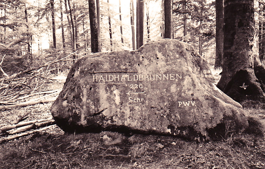 Ritterstein Nr. 108 "Haidhaldbrunnen 220 Schr." östlich des Stüterhofs (1993)