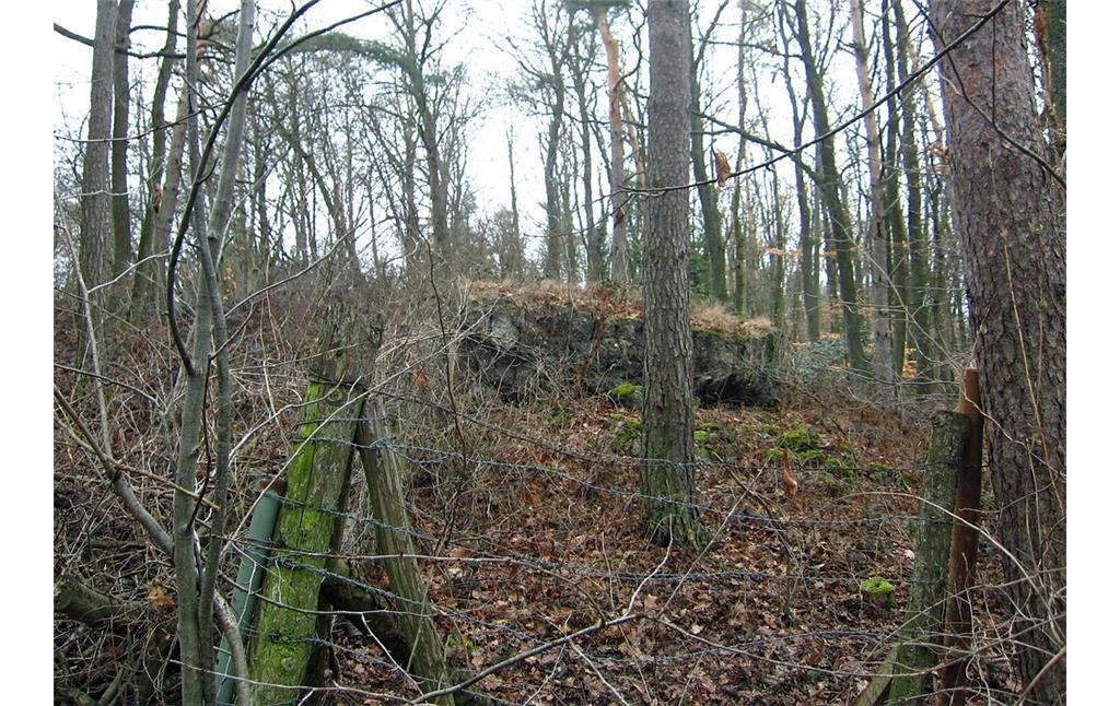 Teile der Ruine des ehemaligen Führerhauptquartiers Felsennest bei Rodert (2012)