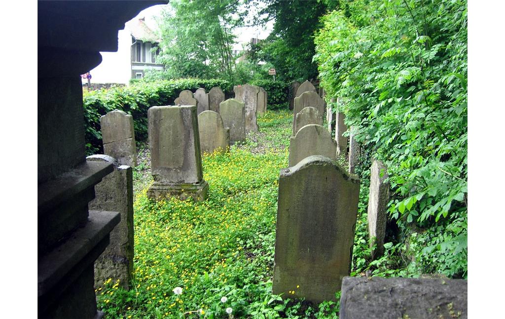 Grabsteine auf der jüdischen Gedenkstätte Ännchenstraße in Bonn-Bad Godesberg, Sicht aus westlicher Richtung (2014)