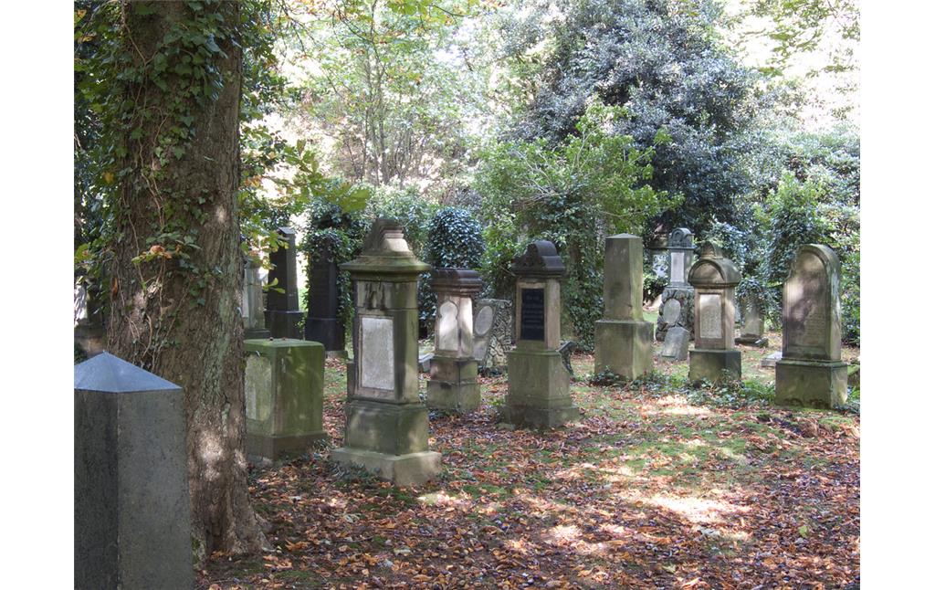 Gräberfeld auf dem Jüdischen Friedhof Segeroth, Assmannweg in Essen-Nordviertel (2011).